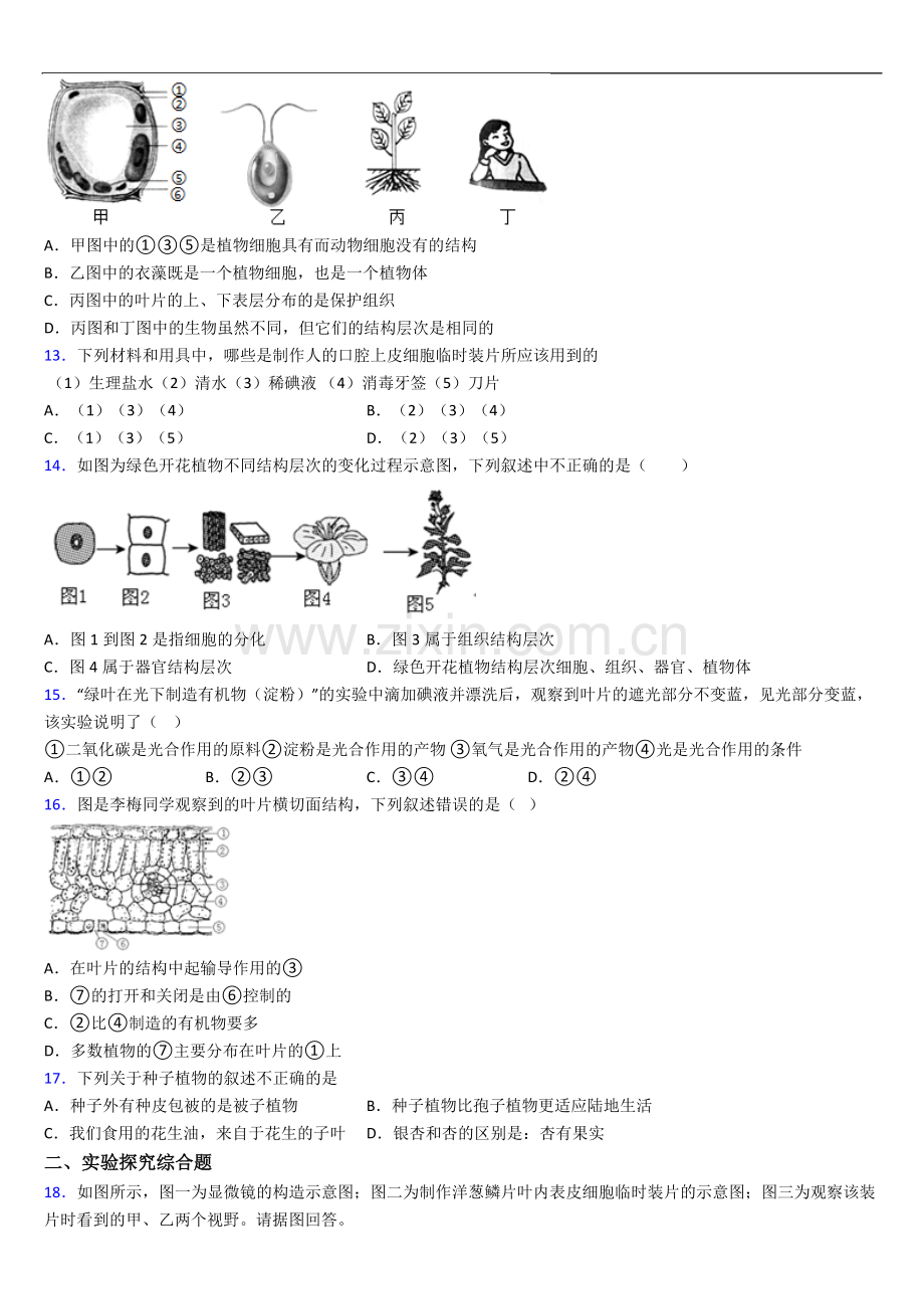 惠州市人教版七年级上册期末生物期末试卷及答案.doc_第3页