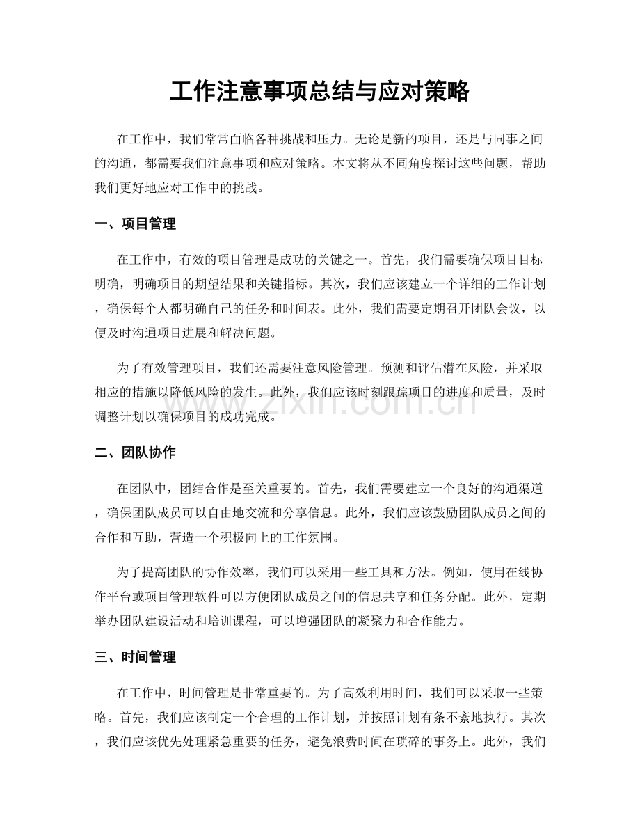 工作注意事项总结与应对策略.docx_第1页