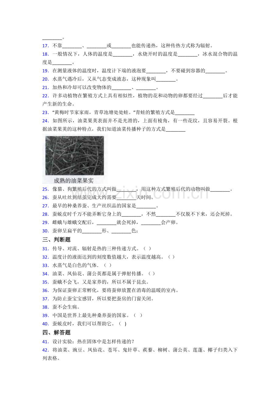 2021年苏教版四年级下册科学期末测试卷.doc_第2页