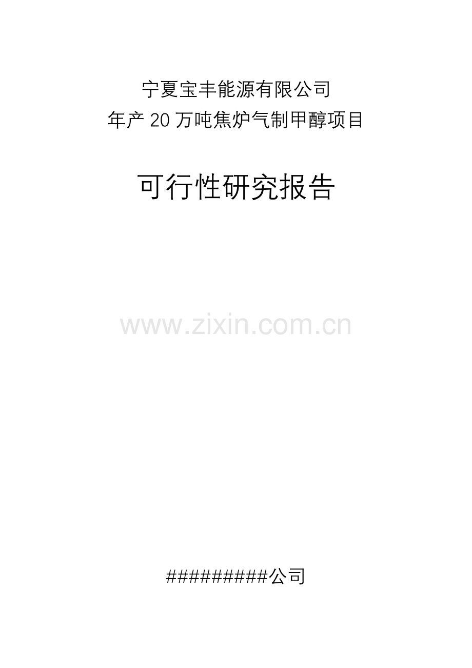 2016年宁夏某化工年产20万吨焦炉气制甲醇项目建设可研报告.doc_第1页