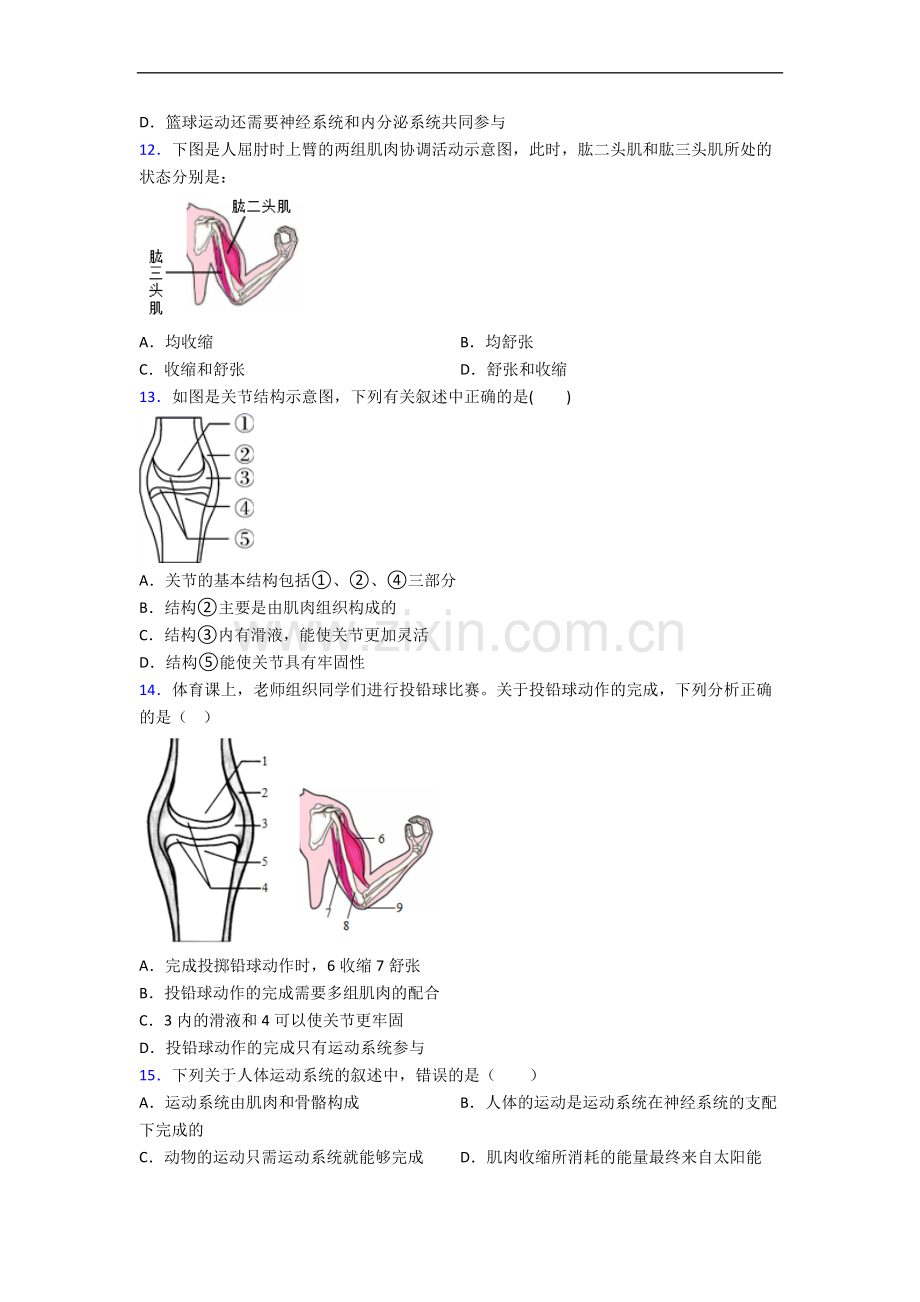 八年级上册期中生物期中试卷(含答案).doc_第3页