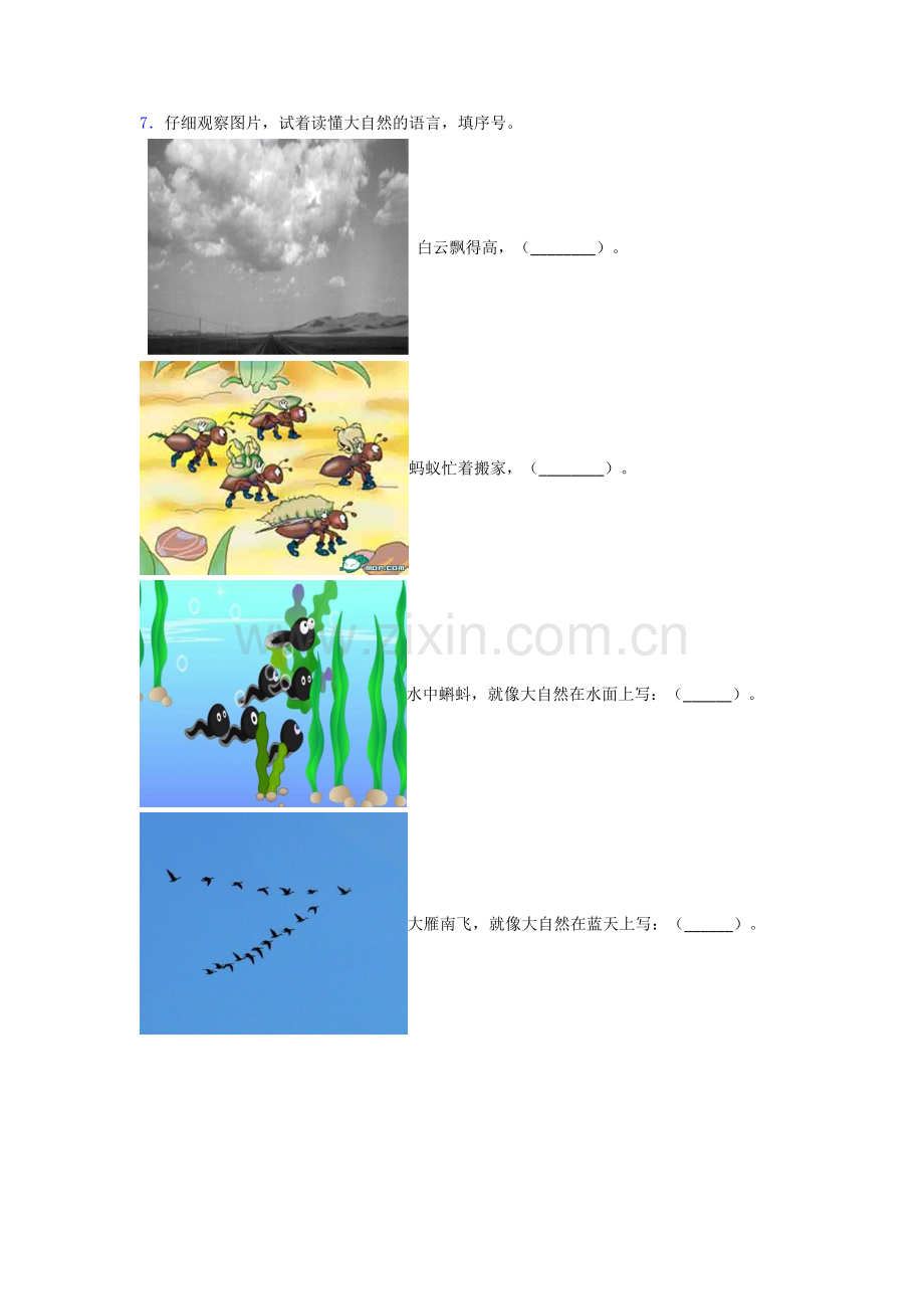 一年级下册衡水道德与法治期末试卷（提升篇）（Word版含解析）.doc_第2页