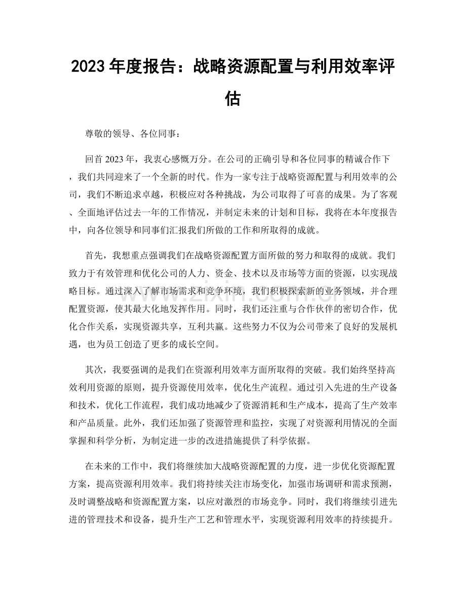 2023年度报告：战略资源配置与利用效率评估.docx_第1页