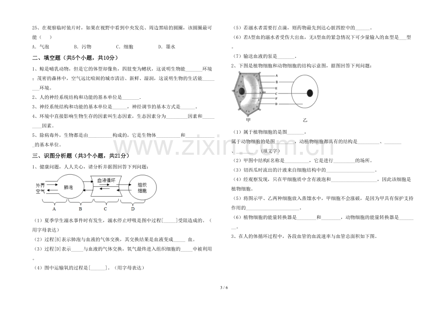 人教版七年级上册《生物》期末考试题(带答案).doc_第3页