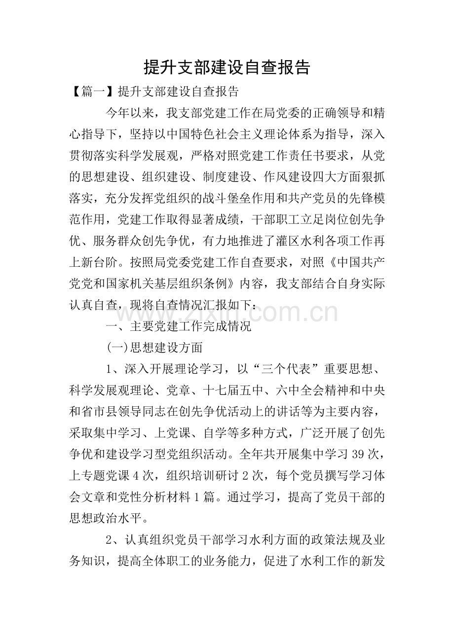 提升支部建设自查报告.doc_第1页