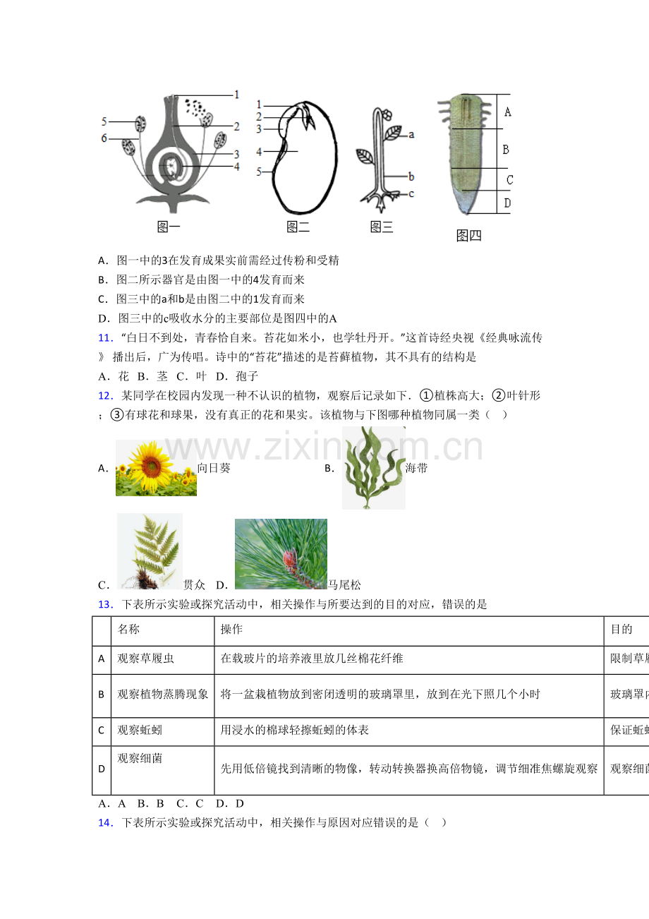 西安高新唐南中学七年级上册期末生物试卷.doc_第3页