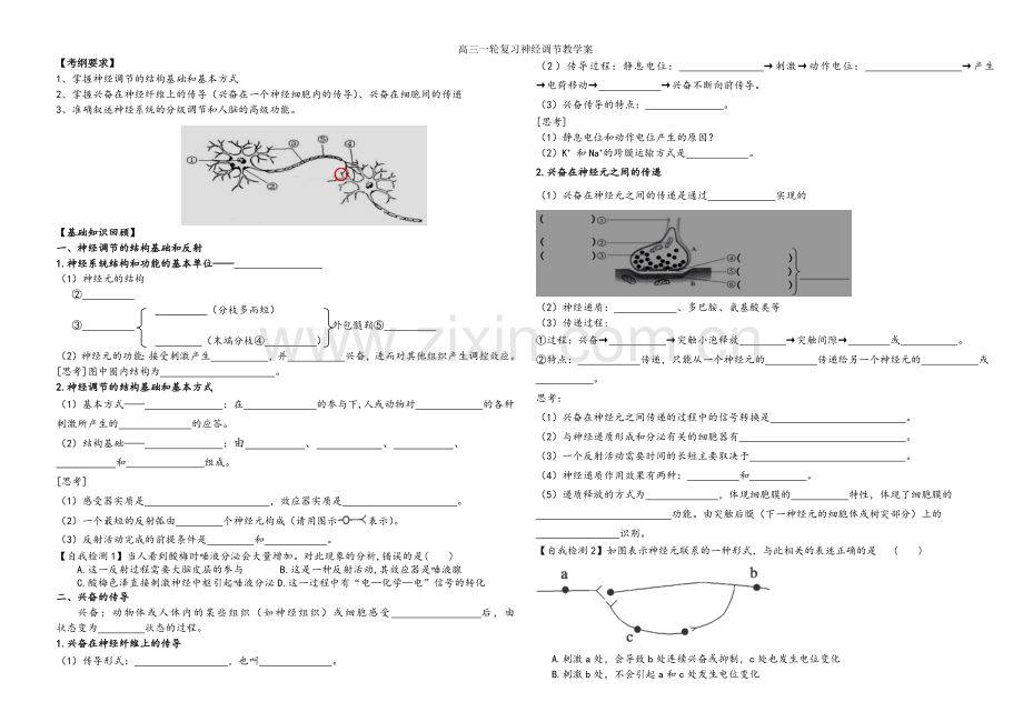 高三一轮复习神经调节教学案.doc_第1页