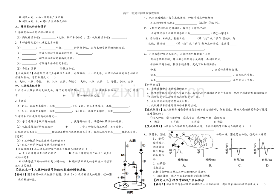 高三一轮复习神经调节教学案.doc_第2页