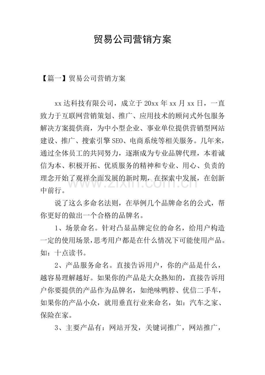 贸易公司营销方案.doc_第1页