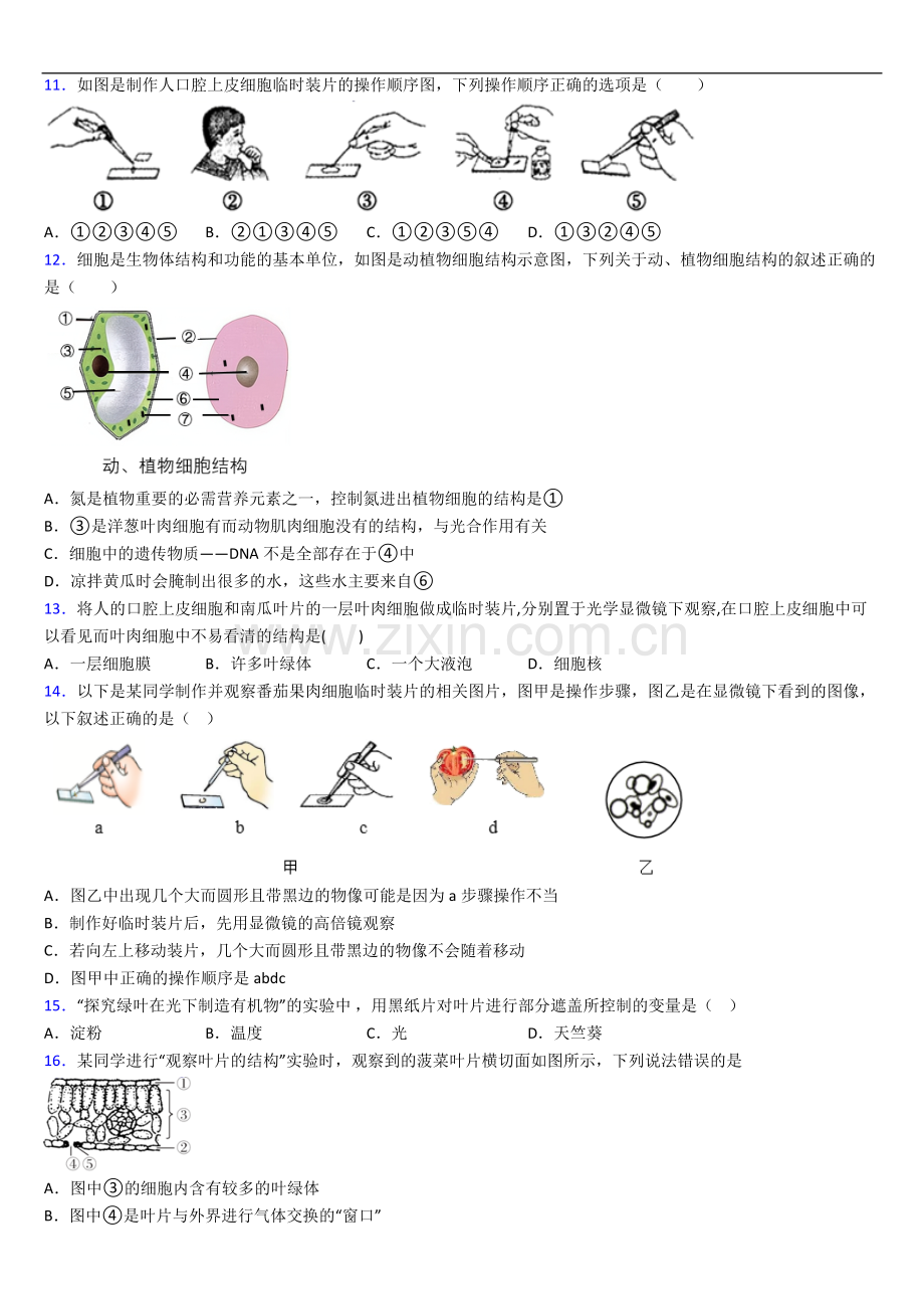 西宁市七年级上册期末生物期末试卷(带答案).doc_第3页