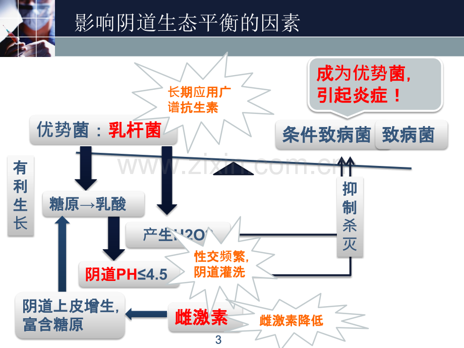 妇科炎症性疾病课件.pptx_第3页