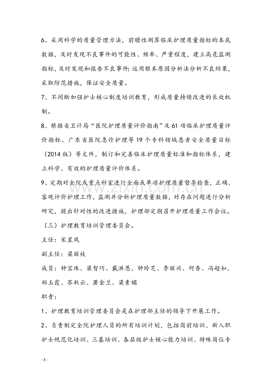 护理管理组织架构.doc_第3页