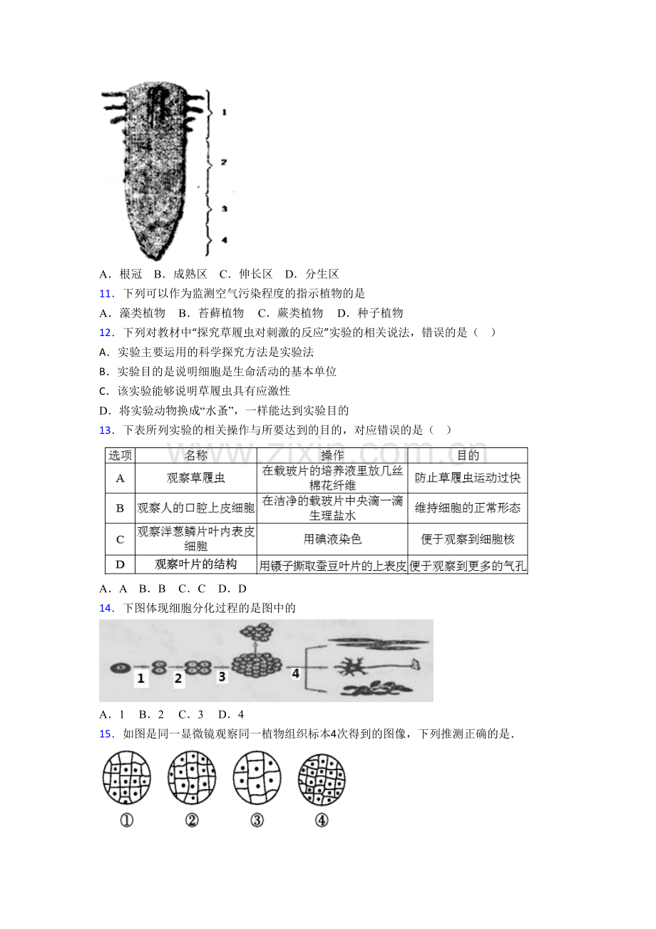 生物初一上学期期末试卷含答案.doc_第3页