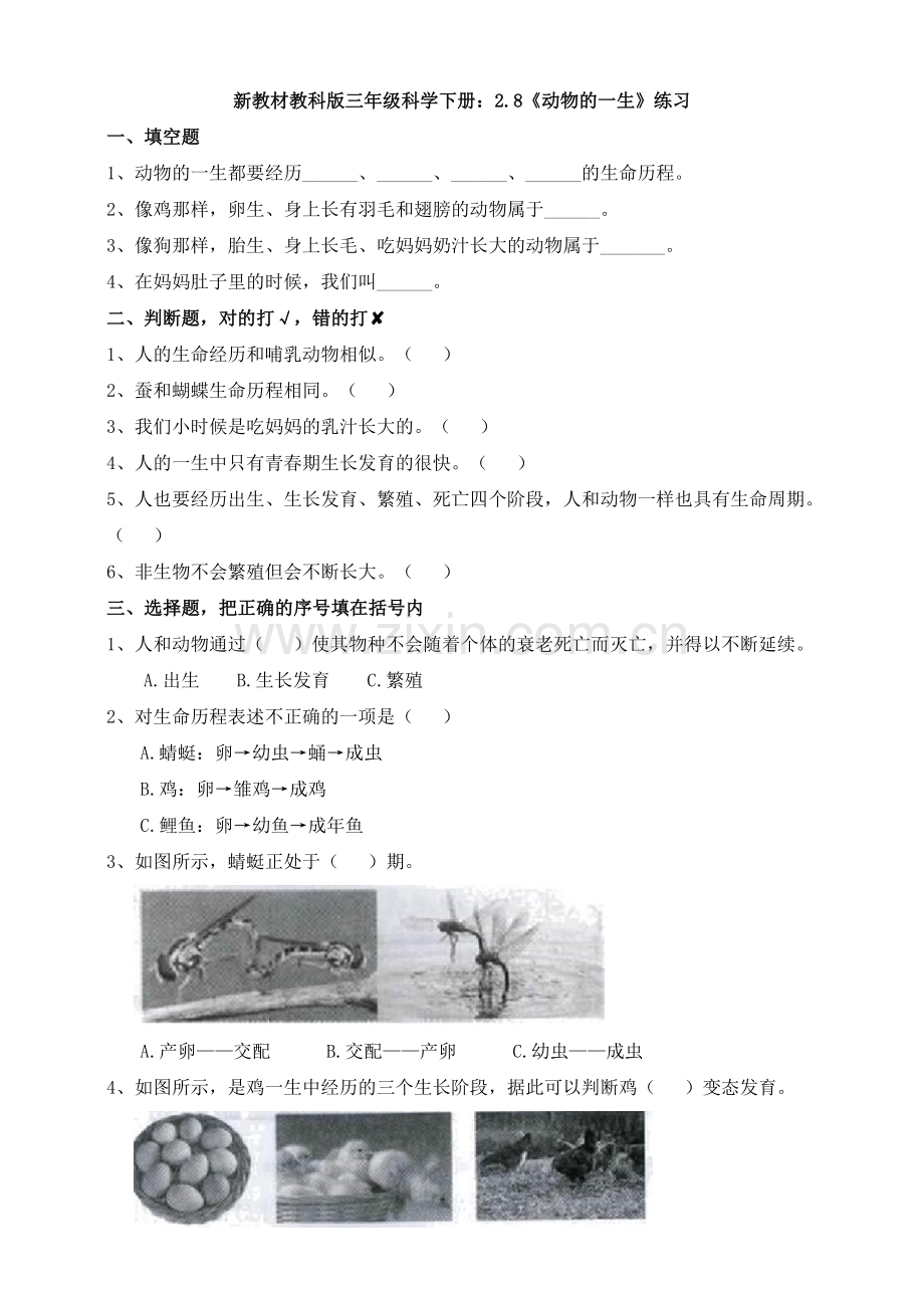 2020新教材教科版三年级科学下册：2.8《动物的一生》练习.doc_第1页