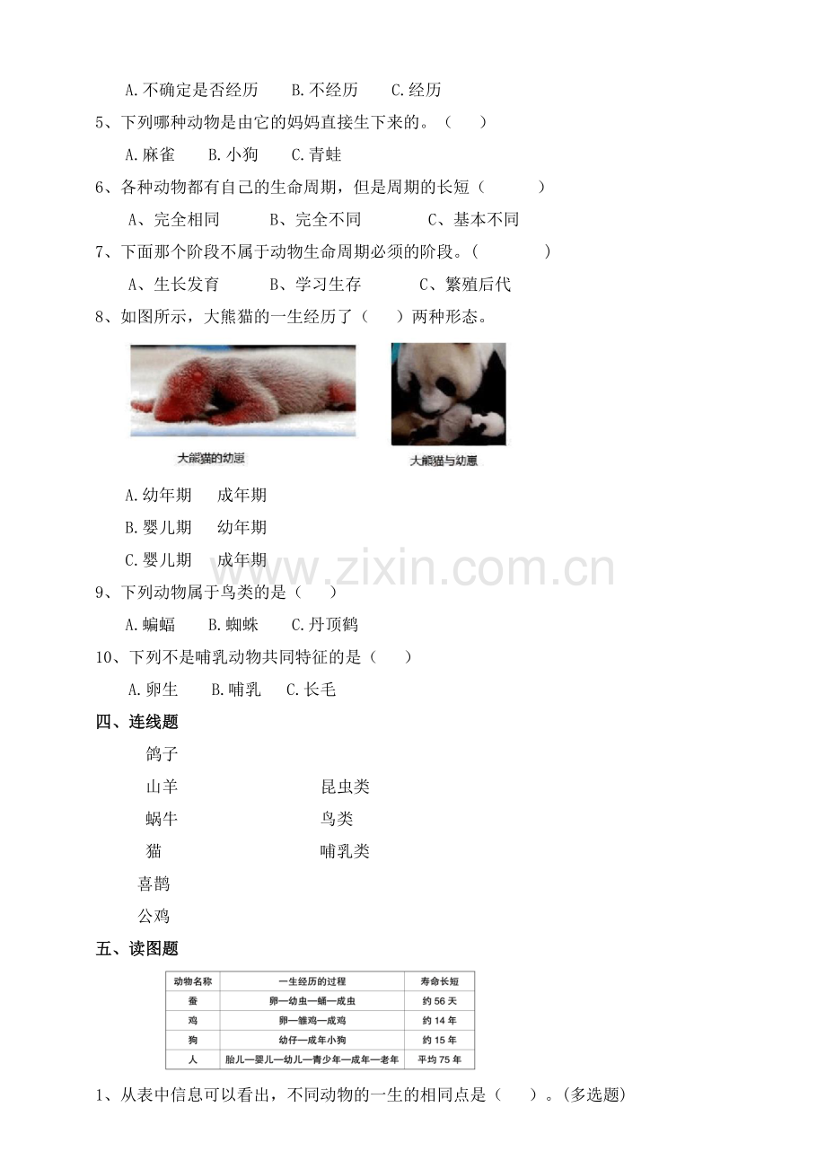 2020新教材教科版三年级科学下册：2.8《动物的一生》练习.doc_第2页