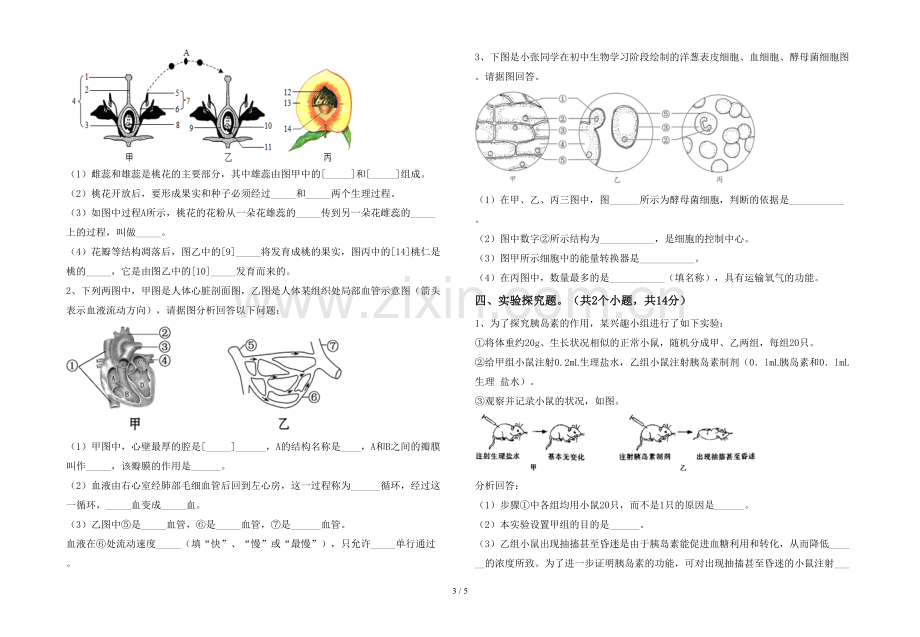 苏教版七年级生物(上册)期末试卷及答案.doc_第3页