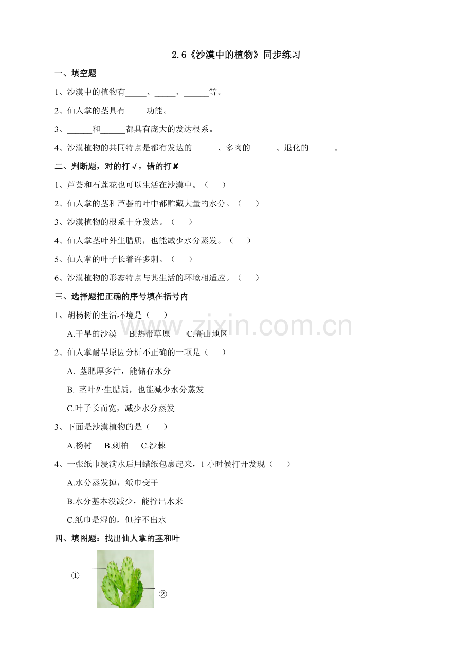 苏教版科学三年级下2.6《沙漠中的植物》练习(2).doc_第1页