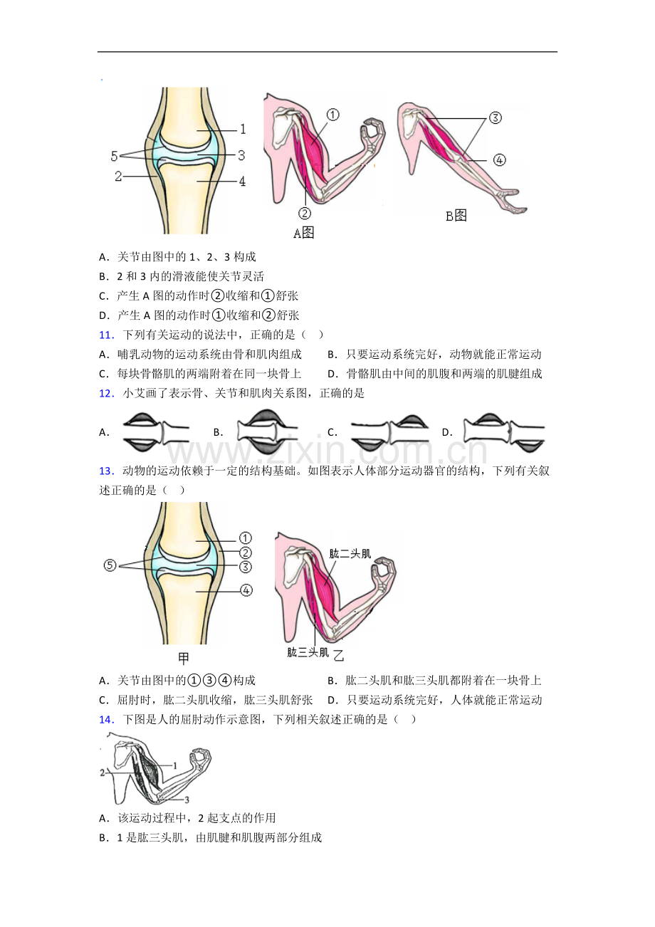 哈尔滨市八年级上学期期末生物试题及答案.doc_第2页