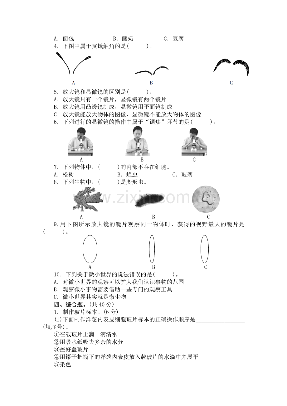 教科版六年级上册科学第一单元微小世界测试卷(含答案).doc_第2页