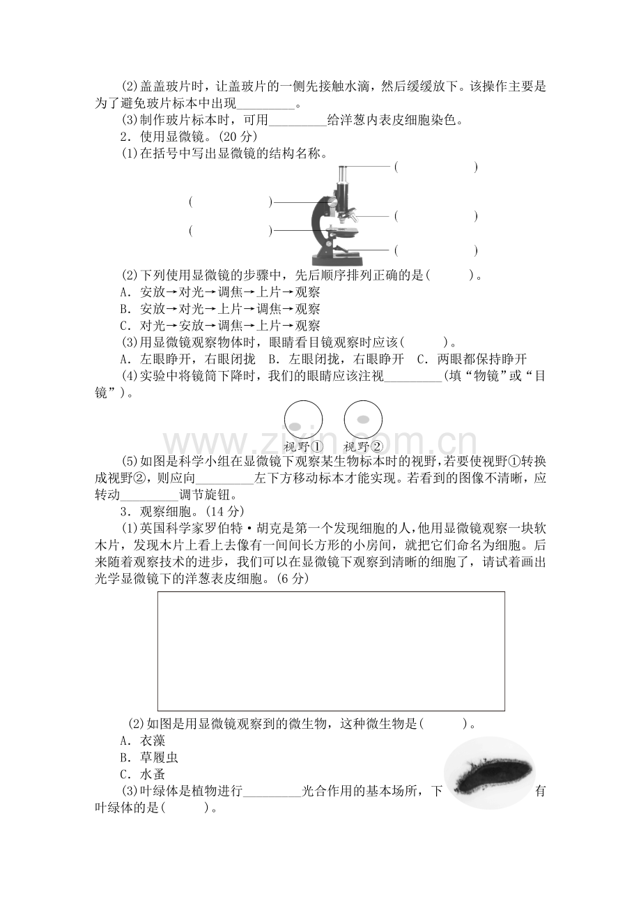 教科版六年级上册科学第一单元微小世界测试卷(含答案).doc_第3页