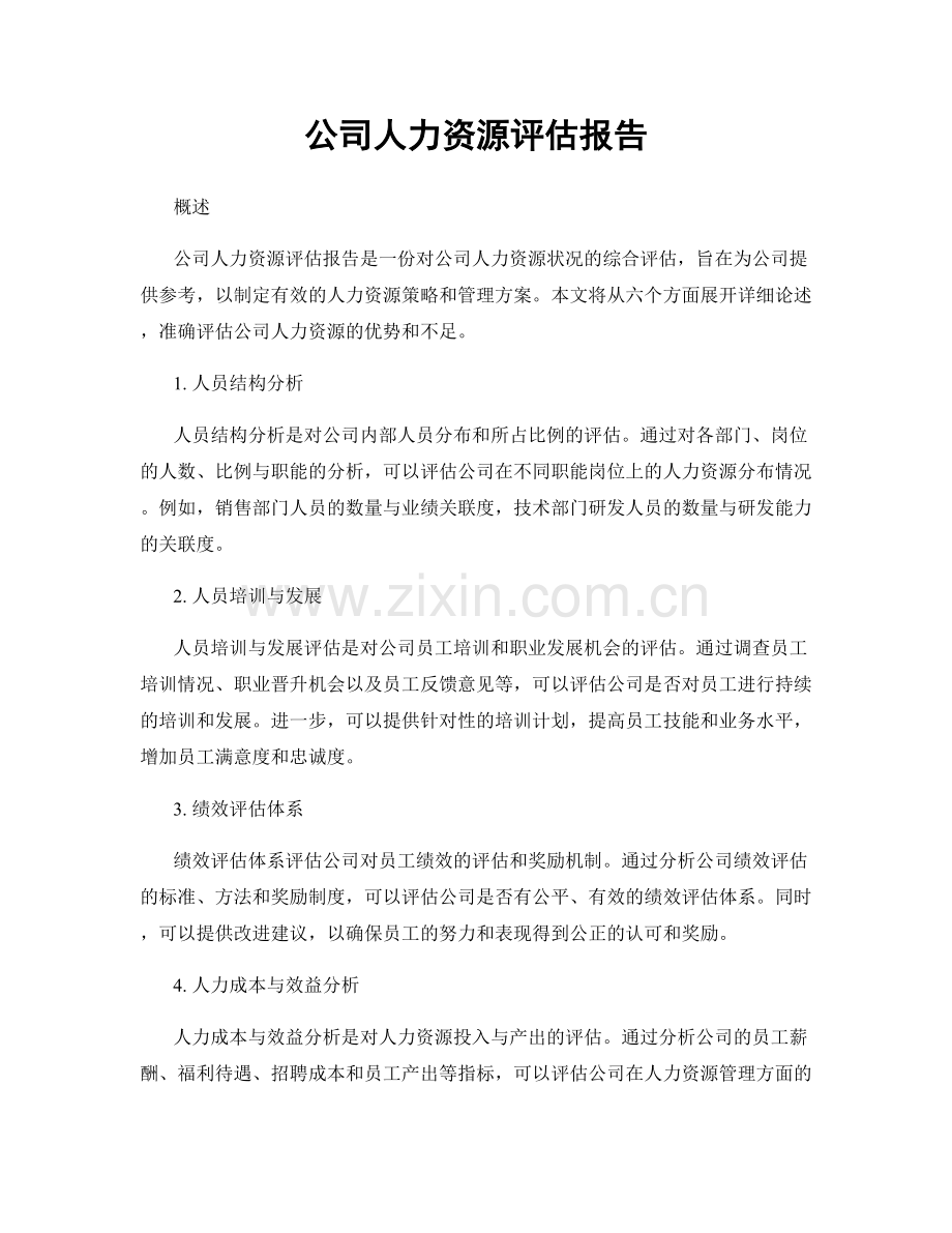 公司人力资源评估报告.docx_第1页