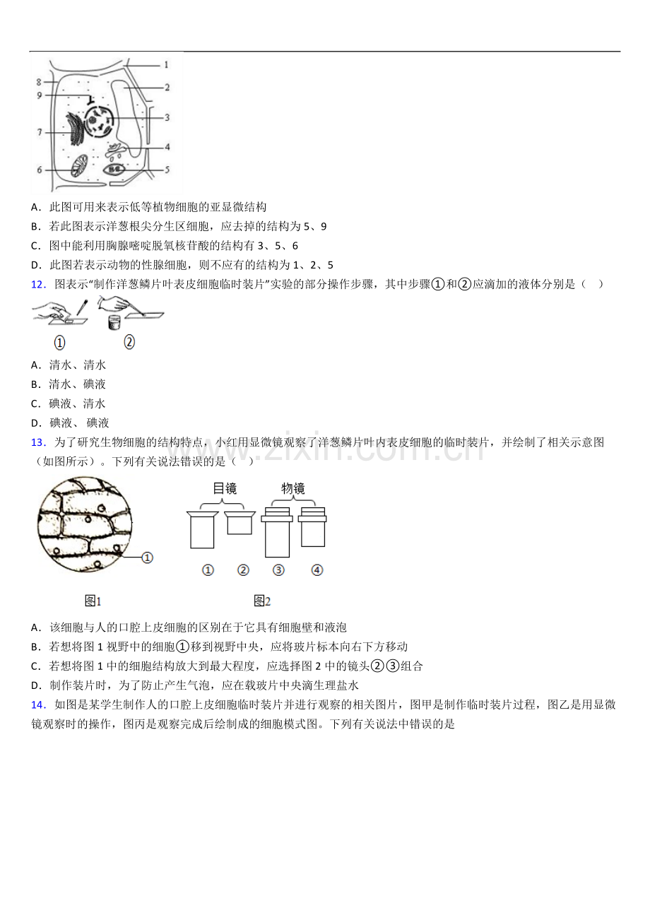 长沙市人教版七年级上册期末生物期末试卷及答案.doc_第3页