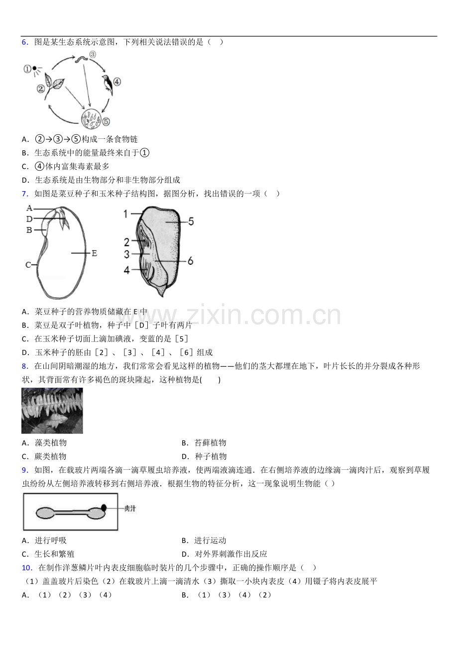 重庆第一中学人教版七年级上册期末生物非选择综合题测试题.doc_第2页