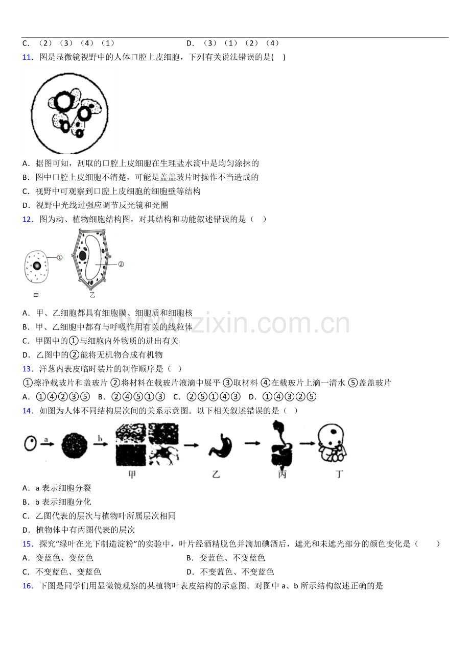 重庆第一中学人教版七年级上册期末生物非选择综合题测试题.doc_第3页