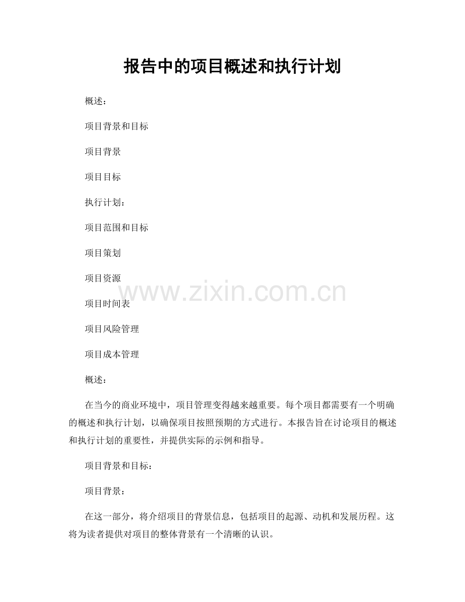 报告中的项目概述和执行计划.docx_第1页