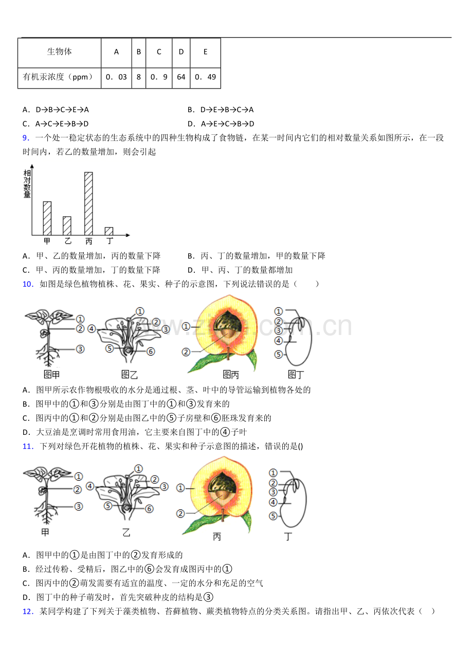 人教版七年级上册期中生物期中试卷及答案.doc_第2页