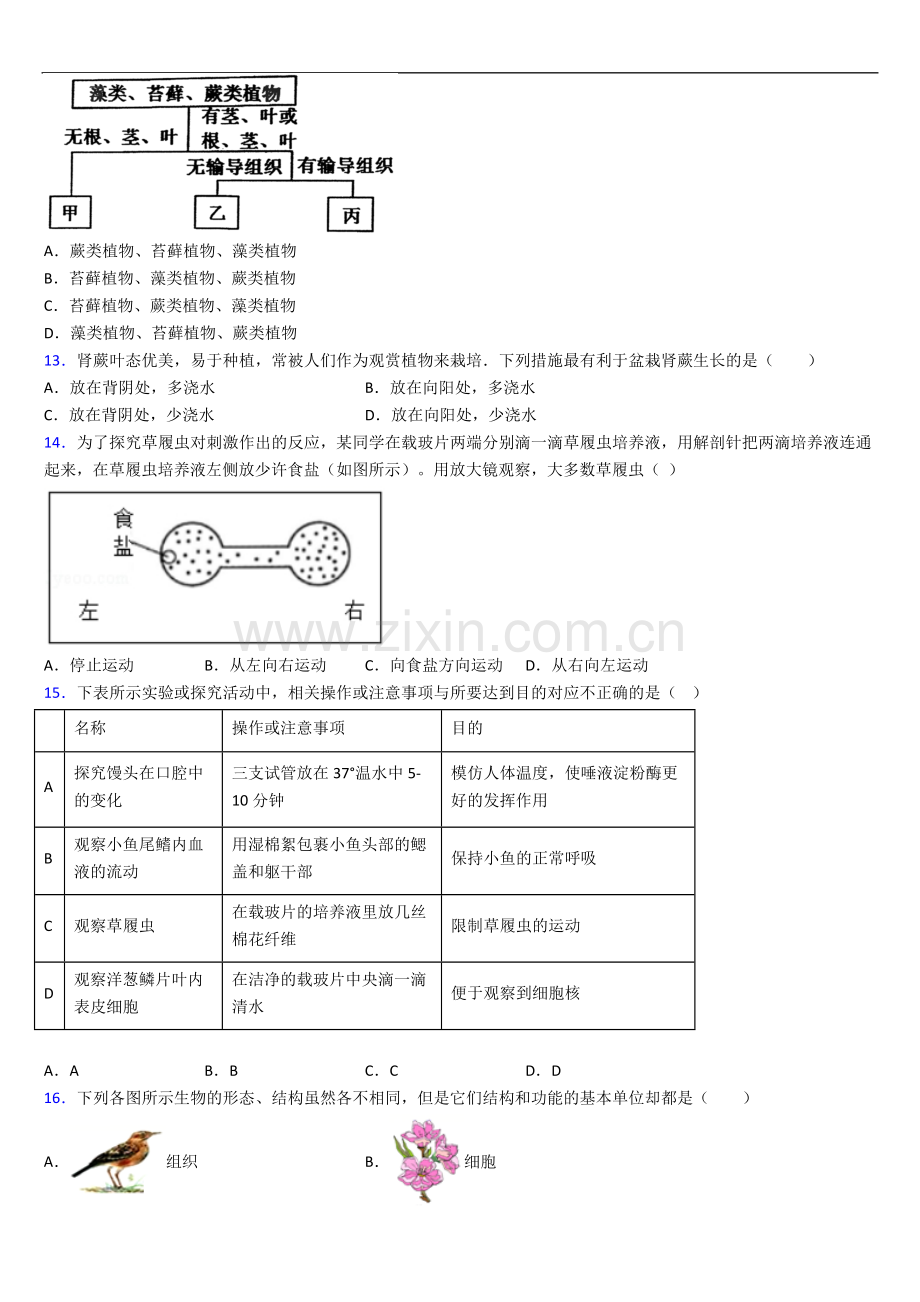 人教版七年级上册期中生物期中试卷及答案.doc_第3页