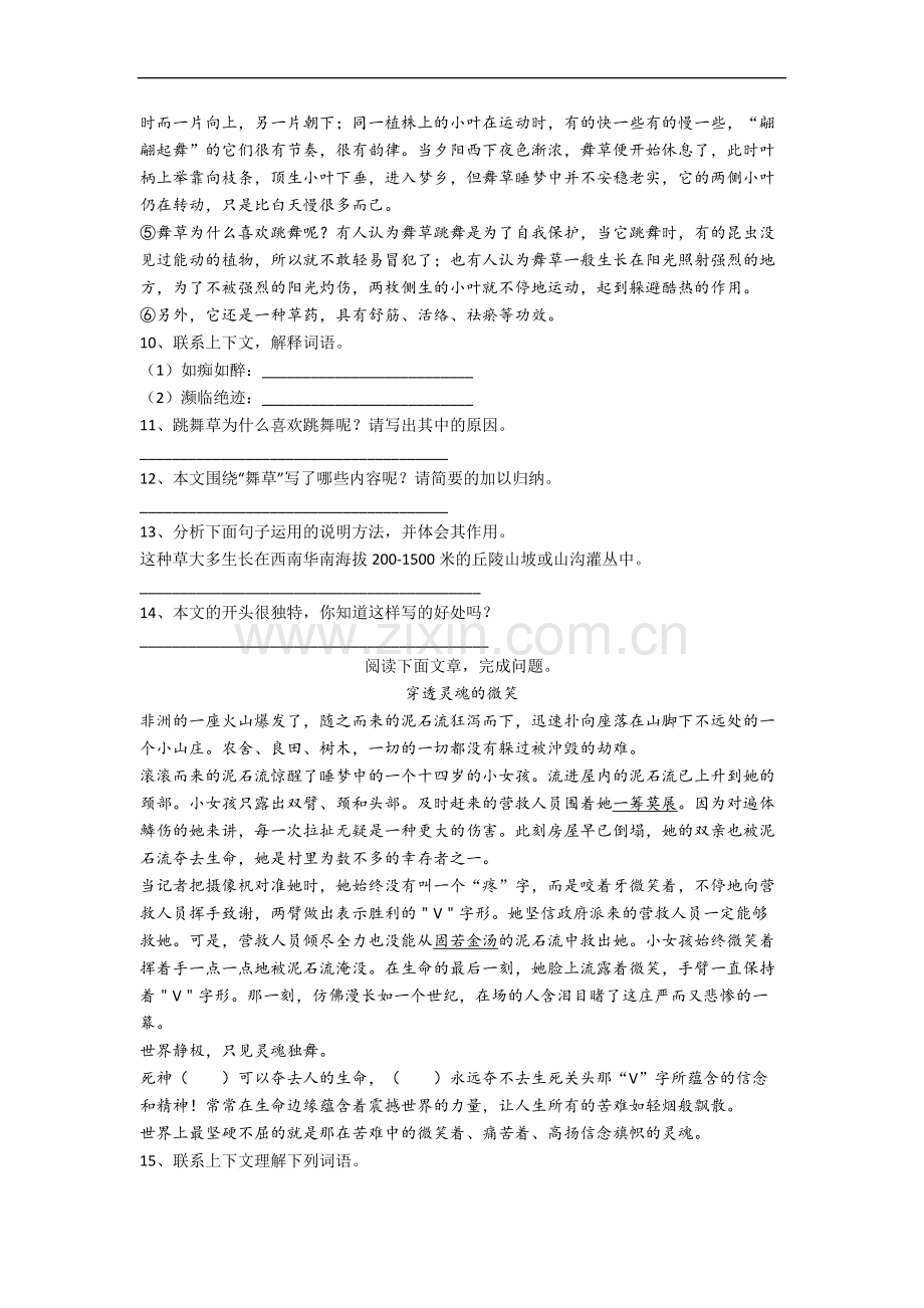 部编版语文六年级上册期末培优试卷测试卷(含答案解析).docx_第3页