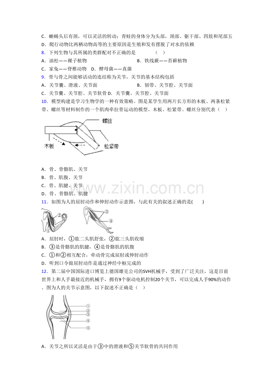 上海黄浦学校八年级上册期末生物试卷含答案.doc_第2页