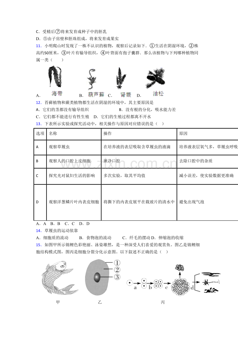 南京外国语中学生物七年级上册期末试卷.doc_第3页