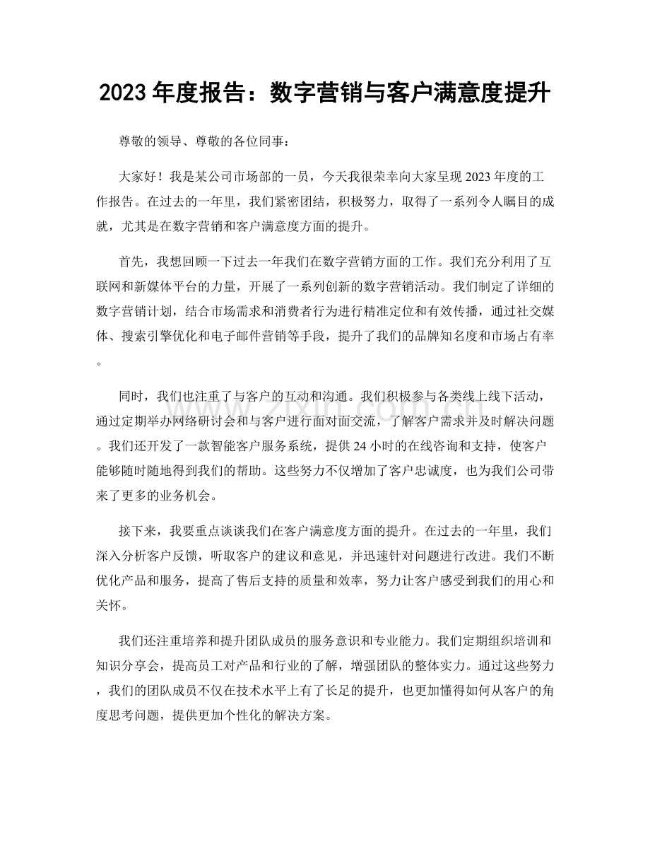 2023年度报告：数字营销与客户满意度提升.docx_第1页