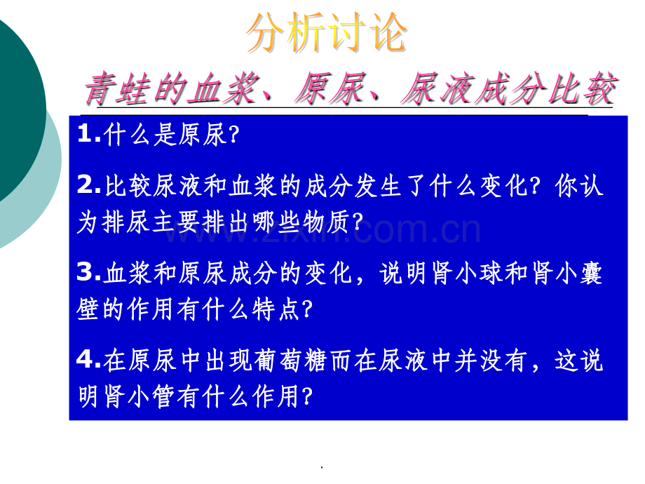 人体内废物的排出完整.ppt_第2页