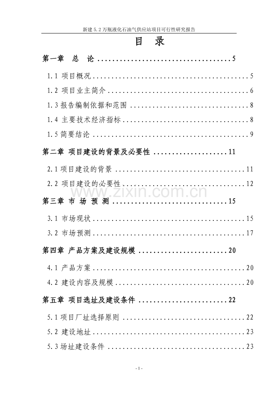 新建液化气站项目可行性论证报告.doc_第1页