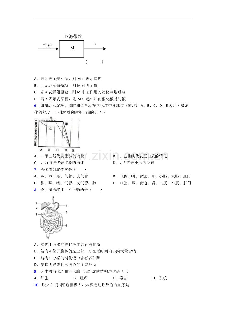 潍坊市七年级下册期中生物期中试卷(带答案).doc_第2页