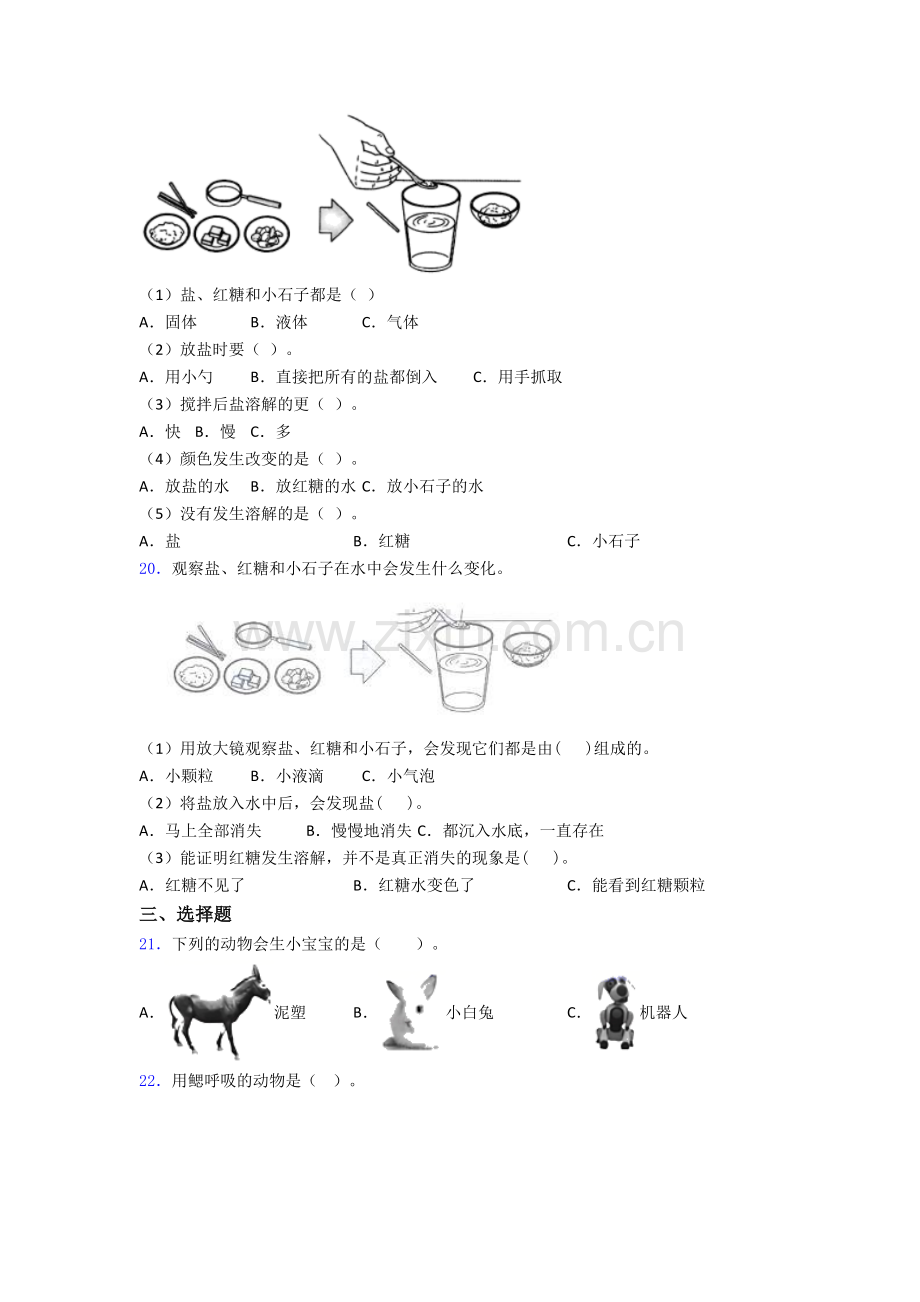 一年级科学期末试卷测试卷(含答案解析).doc_第3页