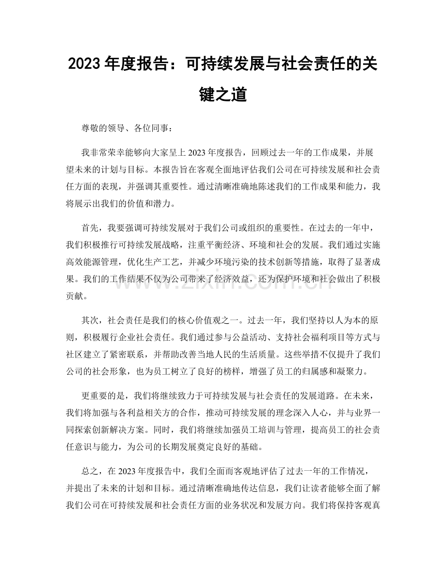 2023年度报告：可持续发展与社会责任的关键之道.docx_第1页