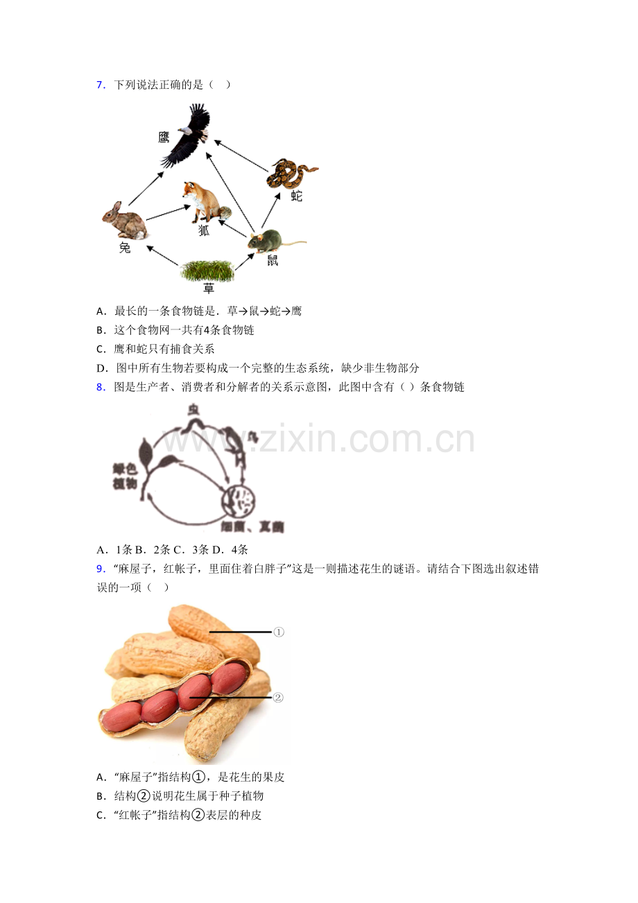 南京玄武区外国语学校七年级上册期末生物试卷含答案.doc_第2页