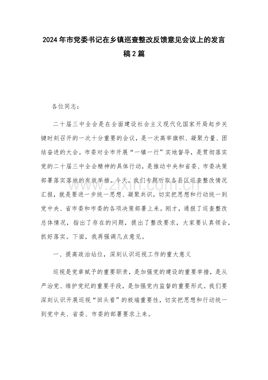 2024年党委书记在乡镇巡查整改反馈意见会议上的发言稿2篇.docx_第1页