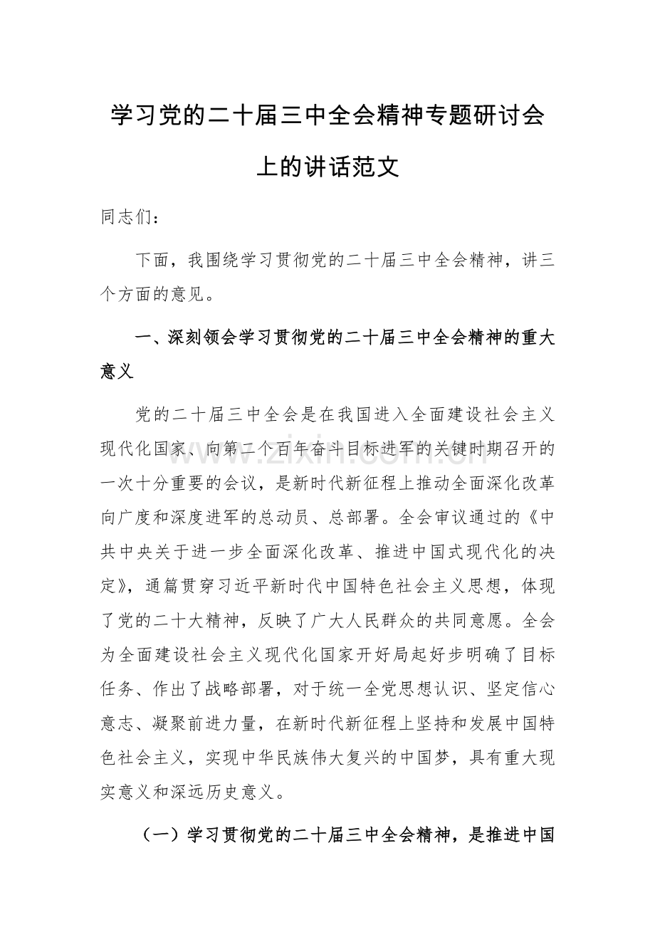 学习党的二十届三中会议精神专题研讨会上的讲话范文.docx_第1页