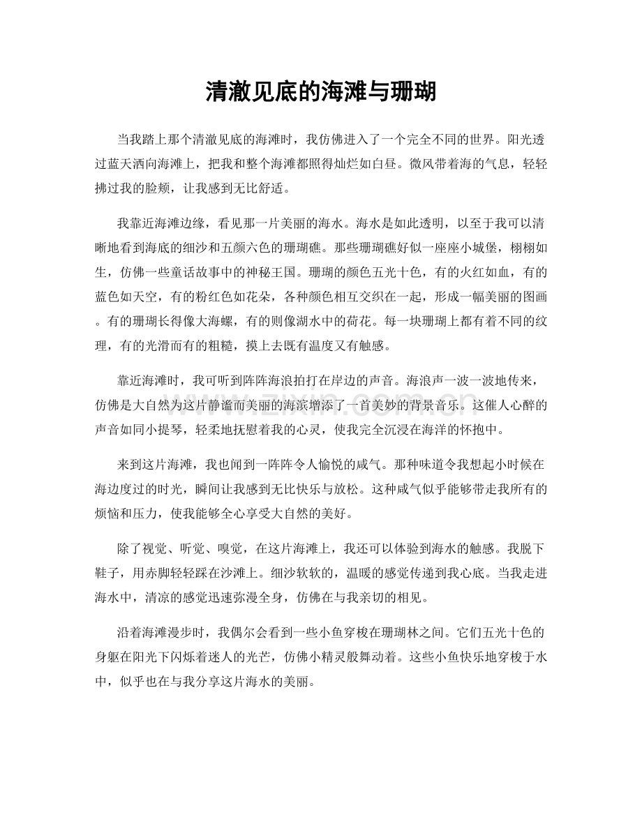 清澈见底的海滩与珊瑚.docx_第1页