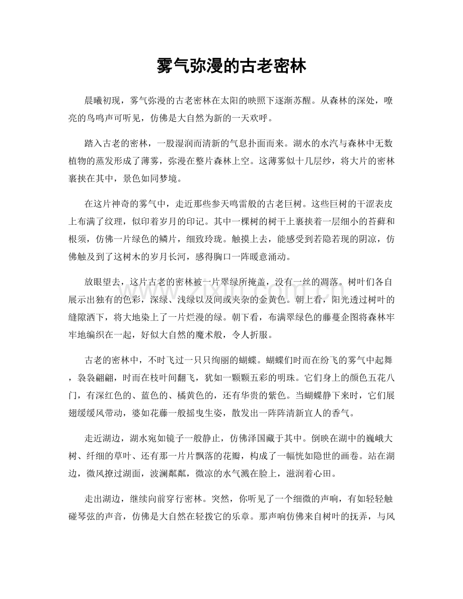 雾气弥漫的古老密林.docx_第1页