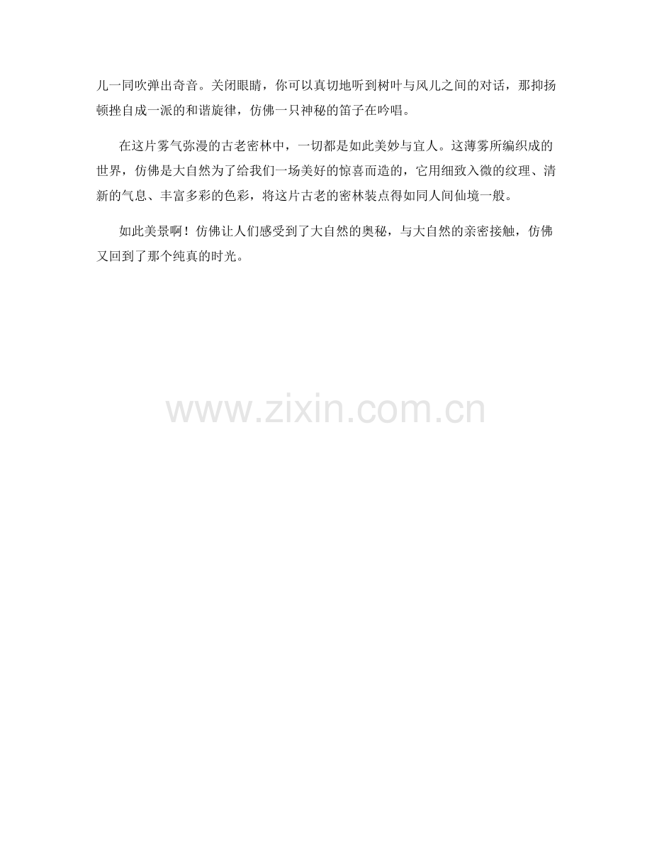 雾气弥漫的古老密林.docx_第2页