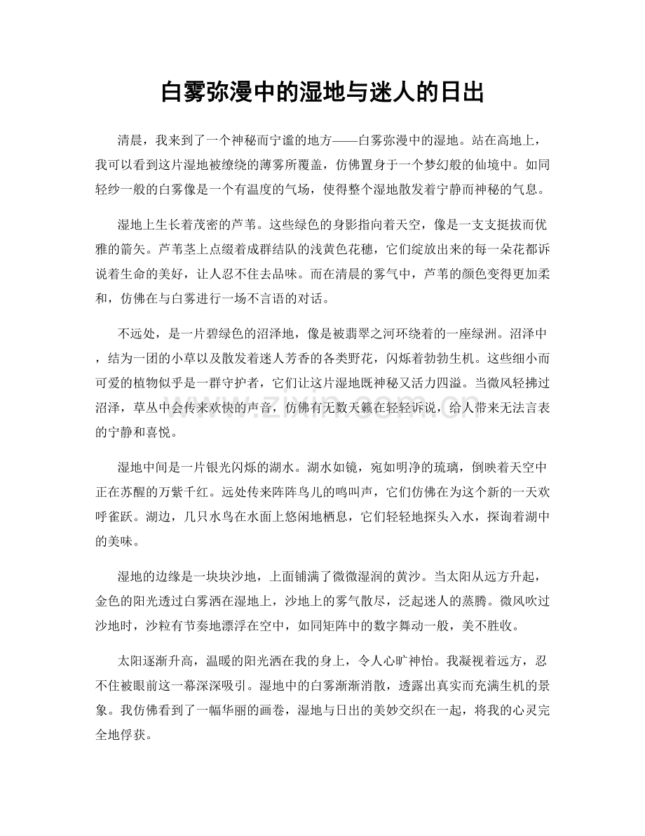 白雾弥漫中的湿地与迷人的日出.docx_第1页