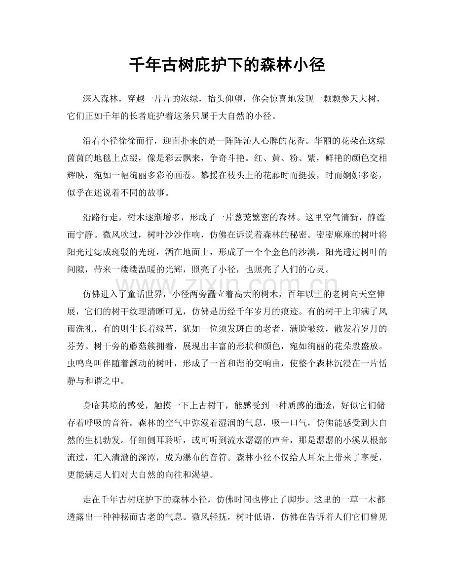 千年古树庇护下的森林小径.docx_第1页