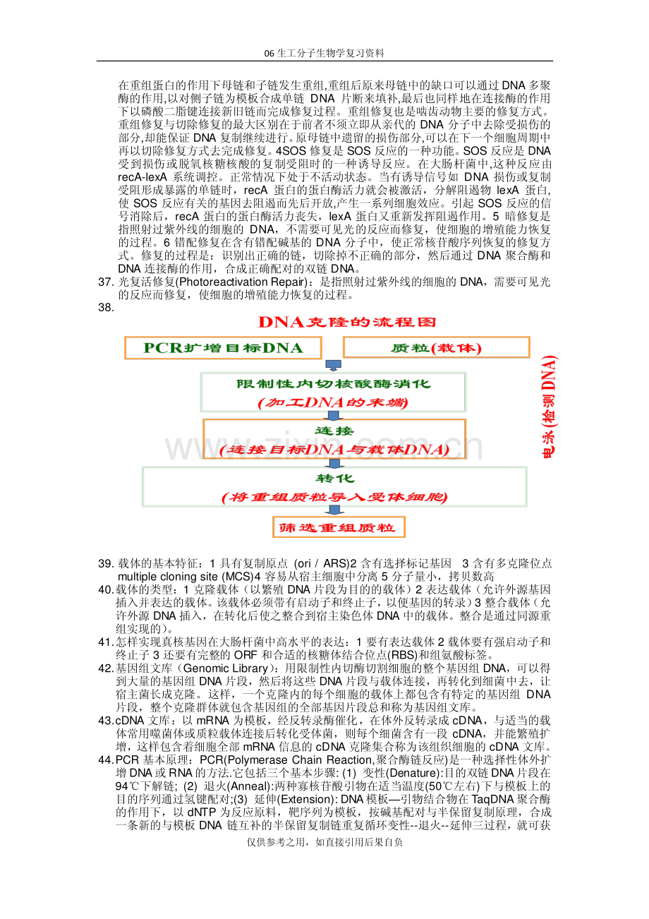 分子生物学复习资料.pdf_第3页