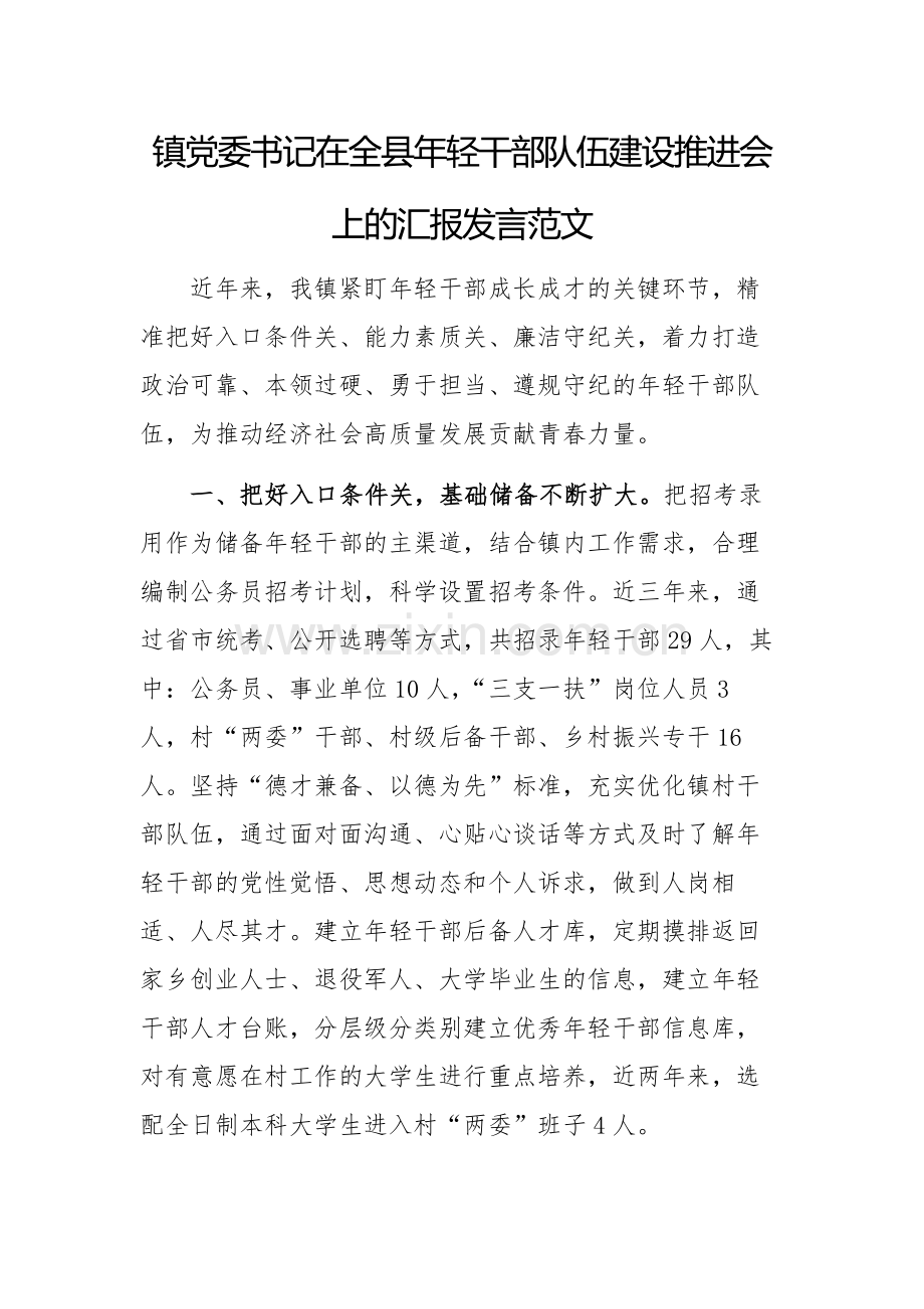 2024年党委书记在年轻干部队伍建设推进会上的汇报发言范文.docx_第1页